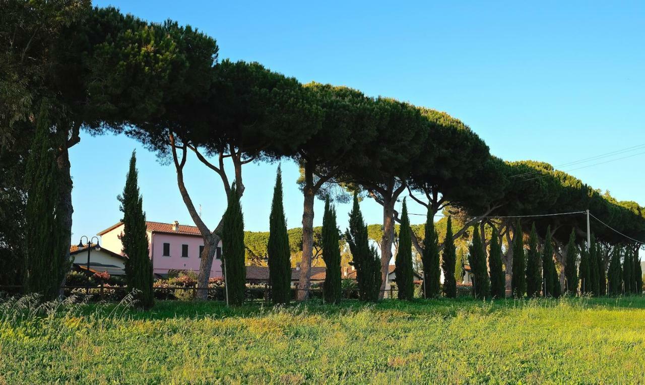 Villino Il Paduletto Βίλα Casa Paduletto Εξωτερικό φωτογραφία