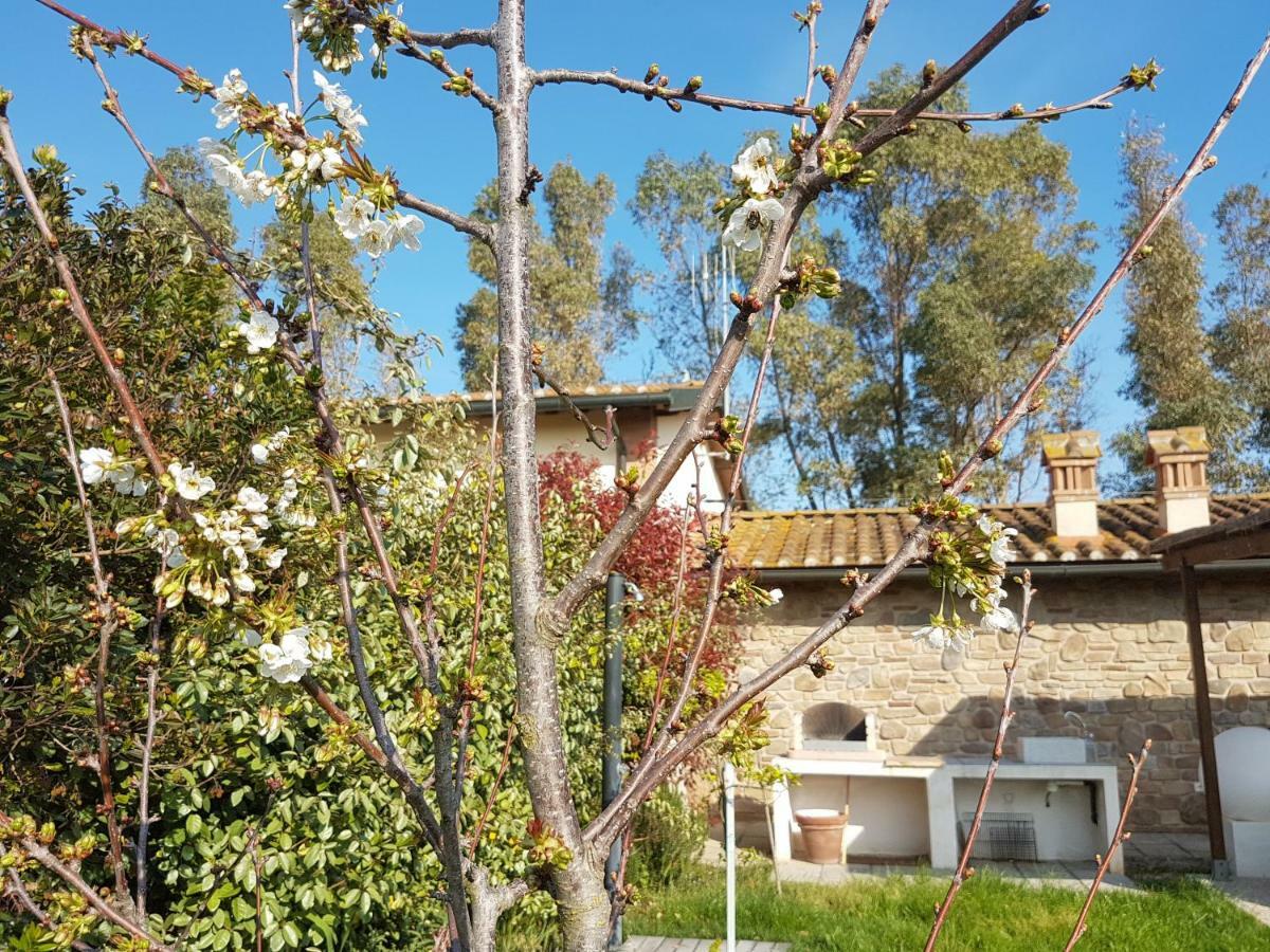 Villino Il Paduletto Βίλα Casa Paduletto Εξωτερικό φωτογραφία